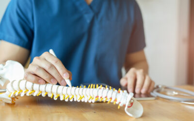 The Science Behind Chiropractic Care and Spinal Health