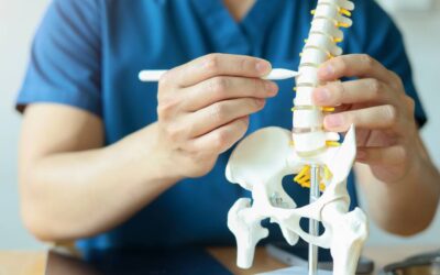 Osteopathy vs. Chiropractic Care: Understanding the Differences for Spine Health