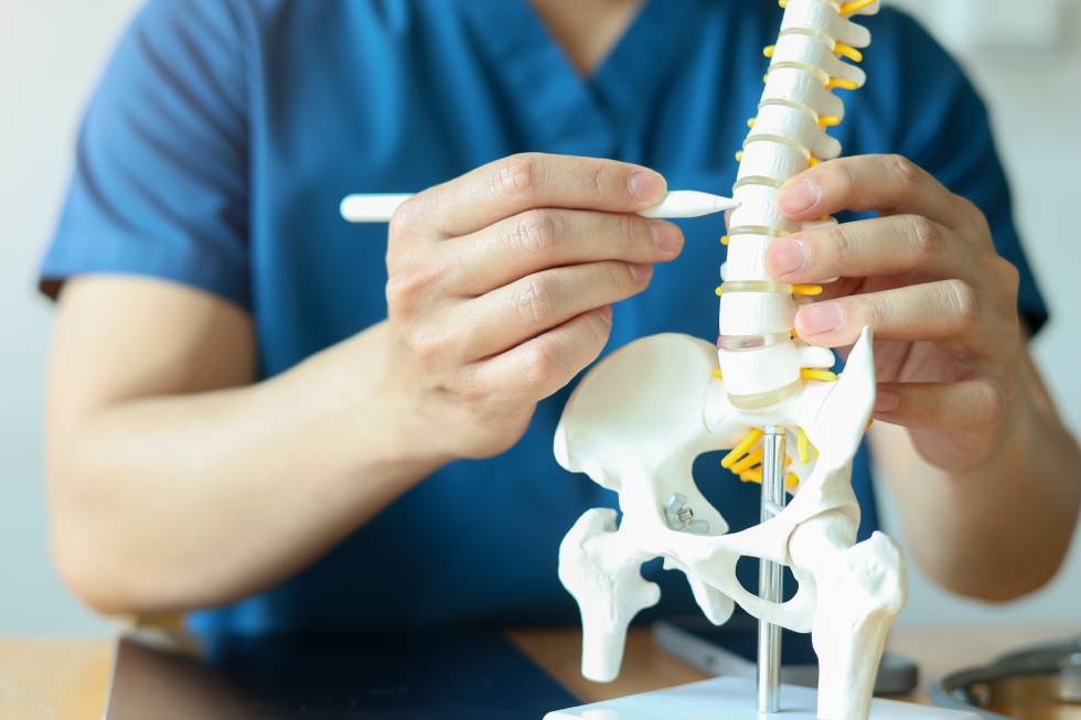Osteopathy vs. Chiropractic Care: Understanding the Differences for Spine Health
